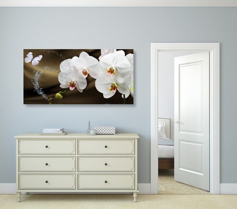 WANDBILD ORCHIDEE UND SCHMETTERLING - BILDER BLUMEN - BILDER