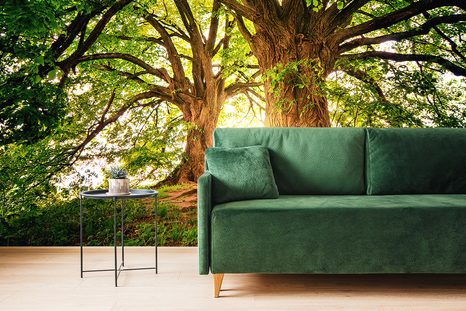 FOTOTAPETE MAJESTÄTISCHE BÄUME - TAPETEN MIT NATURMOTIVEN - TAPETEN