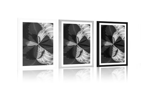 POSTER CU PASSEPARTOUT ABSTRACȚIE ARTISTICĂ ÎN DESIGN ALB-NEGRU - ALB-NEGRU - POSTERE