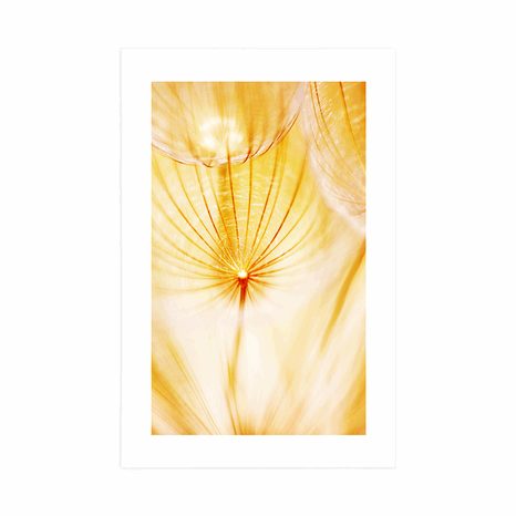 POSTER – DENTE DI LEONE IN VERSIONE GIALLA - FIORI - POSTER