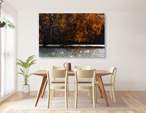 WANDBILD SPIEGELUNG DER BLÄTTER IM SEE - BILDER VON NATUR UND LANDSCHAFT - BILDER