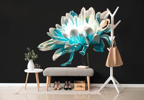 CARTA DA PARATI – MARGHERITA SU SFONDO NERO - CARTA DA PARATI CON FIORI - CARTA DA PARATI