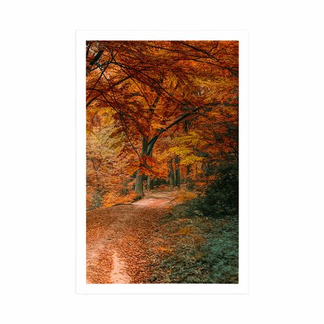 PLAKAT PREKRASNA ŠUMA U JESENJE DOBA - PRIRODA - PLAKATI
