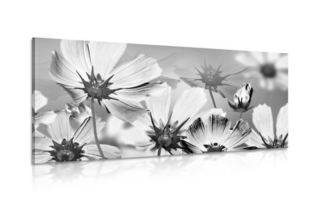 CANVAS PRINT GARDEN FLOWERS IN BLACK AND WHITE - BLACK AND WHITE PICTURES - PICTURES