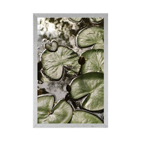 AFFICHE – NÉNUPHARS DANS LE JARDIN - NATURE - AFFICHES