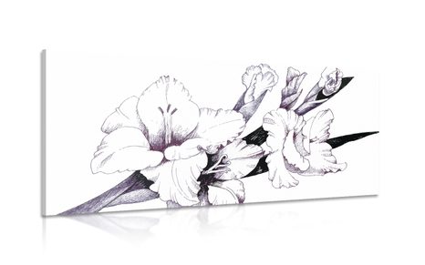 WANDBILD ILLUSTRATION EINER BLÜHENDEN GLADIOLE - BILDER BLUMEN - BILDER