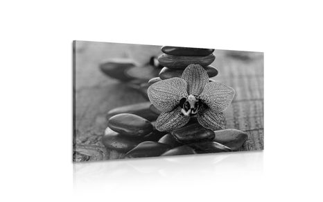 КАРТИНА НА ПЛАТНО – ОРХИДЕЯ И ЗЕН КАМЪНИ В ЧЕРНО-БЯЛО - ЧЕРНО-БЕЛИ КАРТИНИ - КАРТИНИ