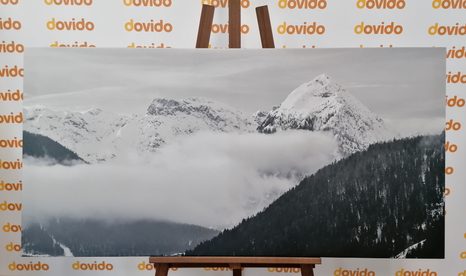 KÉP TÉLI TÁJ FEKETE FEHÉRBEN - FEKETE-FEHÉR KÉPEK - KÉPEK