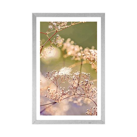 AFFICHE – NATURE MORTE DE FLEURS - FLEURS - AFFICHES