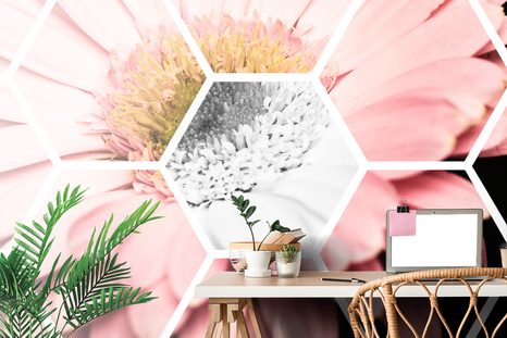 CARTA DA PARATI – GERBERA NELL'ESAGONO - CARTA DA PARATI ASTRATTI - CARTA DA PARATI