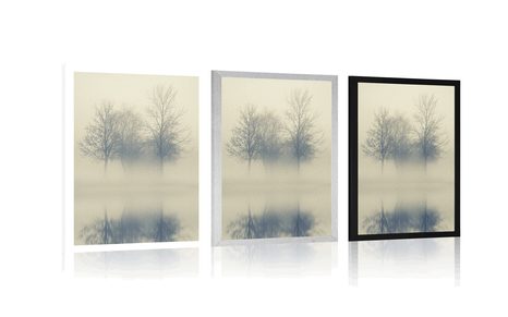 PLAKAT STABLA U MAGLI - PRIRODA - PLAKATI