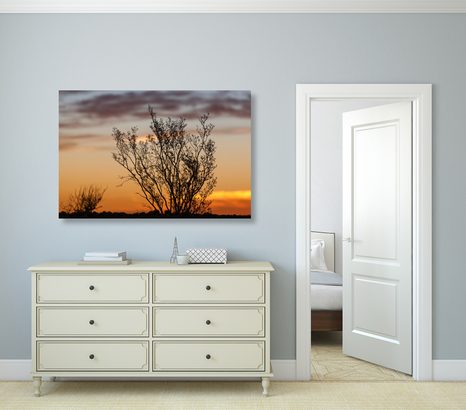 КАРТИНА НА ПЛАТНО – КЛОНКИ ПРИ ЗАЛЕЗ - КАРТИНИ НА ПРИРОДАТА И ПЕЙЗАЖИ - КАРТИНИ