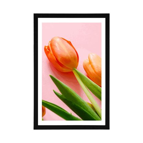 POSTER MIT PASSEPARTOUT ELEGANTE TULPEN - BLUMEN - POSTER