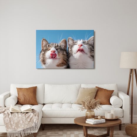 OBRAZ HRAVÉ KOČKY NA MODRÉM POZADÍ - OBRAZY KOČKY - OBRAZY