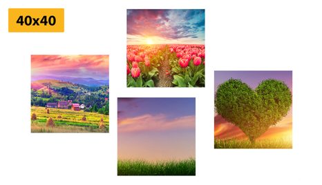 BILDER-SET NATUR IN PASTELLFARBEN - BILDERSETS - BILDER