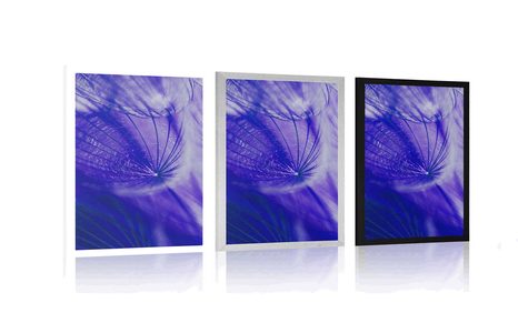 POSTER SCHÖNE PUSTEBLUME IN LILA - BLUMEN - POSTER