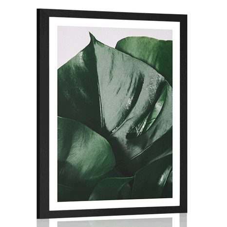 POSTER MIT PASSEPARTOUT BLATT DER MONSTERA - BLUMEN - POSTER