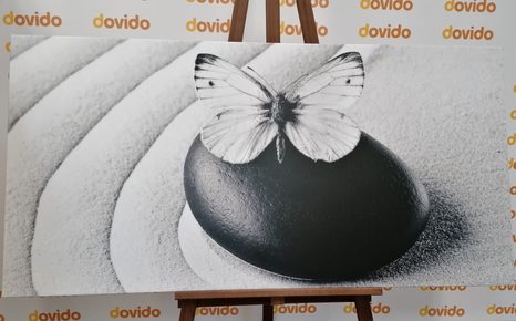 QUADRO SU TELA – PIETRA ZEN CON FARFALLA IN BIANCO E NERO - QUADRI BIANCO E NERO - STAMPE E QUADRI