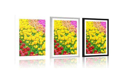 POSTER WITH MOUNT GARDEN FULL OF TULIPS - FLOWERS - POSTERS