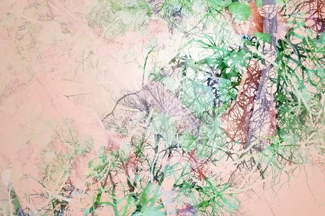 TABLOU RAMURI ABSTRACTE - TABLOURI ABSTRACTE - TABLOURI