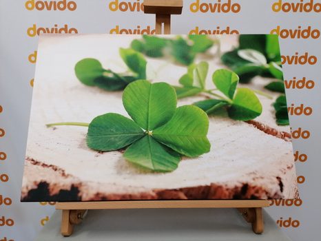 SLIKA ZELENE ŠTIRIPERESNE DETELJICE - SLIKE TIHOŽITJE - SLIKE