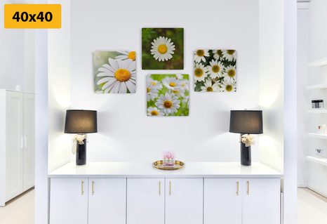 SET DI QUADRI – FIORI INCANTEVOLI - COLLEZIONI DI QUADRI - STAMPE E QUADRI