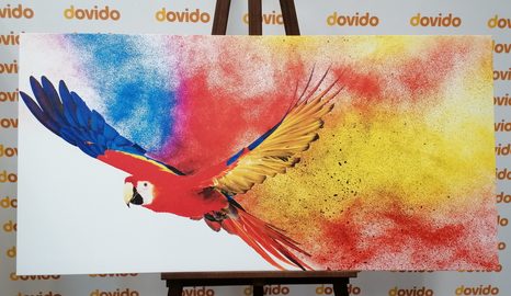 КАРТИНА НА ПЛАТНО – ПОЛЕТ НА ПАПАГАЛ - КАРТИНИ НА ЖИВОТНИ - КАРТИНИ