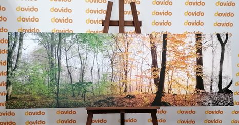 CANVAS PRINT FOUR SEASONS - PICTURES - 🔥 TOTAL SALE 🔥