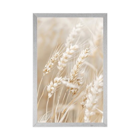 PLAKAT VLATI PŠENICE - BOTANIČKI - PLAKATI