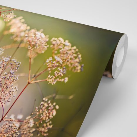 FOTOTAPET NATURA MOARTĂ DIN FLORI - TAPET NATURĂ - TAPETURI