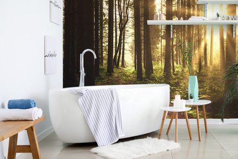 CARTA DA PARATI AUTOADESIVA – FORESTA ILLUMINATA DAL SOLE - CARTA DA PARATI AUTOADESIVE - CARTA DA PARATI