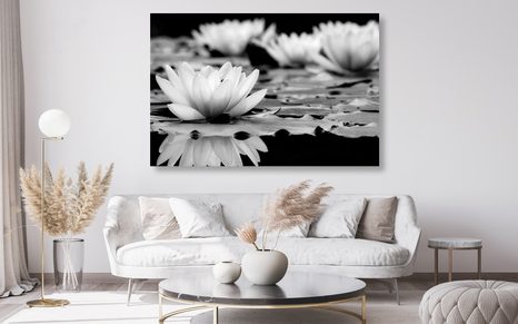 OBRAZ LOTOSOVÝ KVĚT V ČERNOBÍLÉM PROVEDENÍ - ČERNOBÍLÉ OBRAZY - OBRAZY