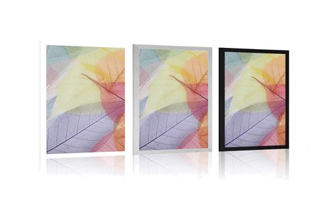 PLAKÁT ŽILKY NA BAREVNÝCH LISTECH - PŘÍRODA - PLAKÁTY