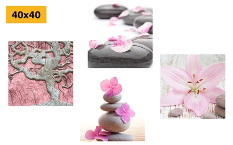 SET DI QUADRI – FENG SHUI IN STILE DELICATO - COLLEZIONI DI QUADRI - STAMPE E QUADRI