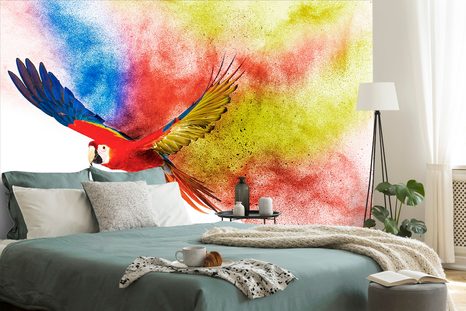 TAPETA LET PAPOUŠKA - TAPETY ZVÍŘATA - TAPETY