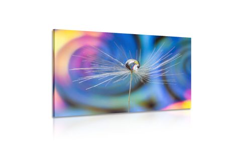 OBRAZ KVAPKA ROSY NA FAREBNOM POZADÍ - OBRAZY KVETOV - OBRAZY