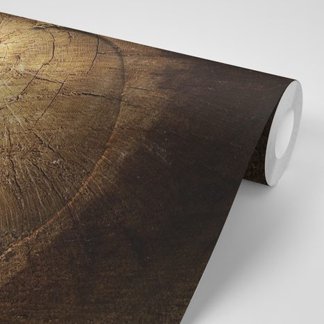 ΑΥΤΟΚΌΛΛΗΤΗ ΤΑΠΕΤΣΑΡΊΑ ΚΑΡΔΙΆ ΣΕ ΚΟΎΤΣΟΥΡΟ - ΑΥΤΟΚΌΛΛΗΤΕΣ ΤΑΠΕΤΣΑΡΊΕΣ - ΤΑΠΕΤΣΑΡΊΕΣ