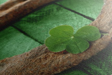 WANDBILD HUFEISEN UND EIN GLÜCKSKLEE - STILLLEBEN-BILDER - BILDER