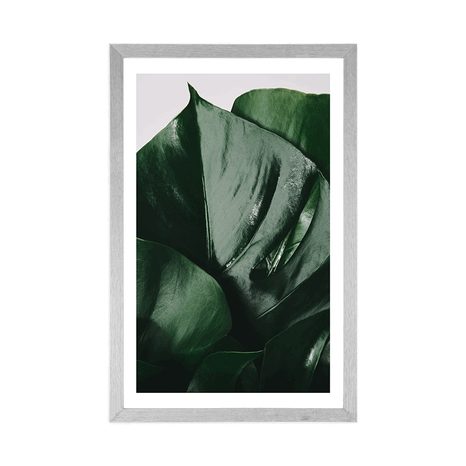 PLAGÁT S PASPARTOU LIST MONSTERY - KVETY - PLAGÁTY