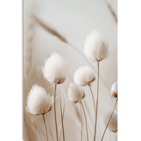 STAMPA SU TELA – STELI DI COTONE - QUADRI DI ERBA - STAMPE E QUADRI