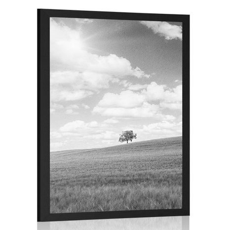 POSTER BEAUTIFUL SUNNY DAY ON THE MEADOW IN BLACK AND WHITE - BLACK AND WHITE - POSTERS