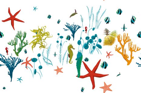 WALLPAPER WONDERS UNDER THE SEA - WALLPAPERS NATURE - WALLPAPERS