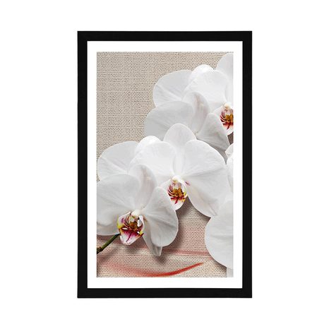 AFFICHE – ORCHIDÉE BLANCHE SUR TOILE - FLEURS - AFFICHES