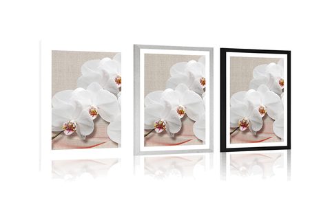 AFFICHE – ORCHIDÉE BLANCHE SUR TOILE - FLEURS - AFFICHES