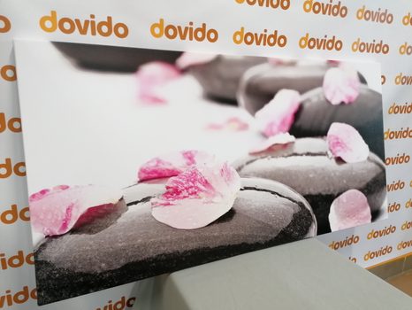 OBRAZ WELLNES KAMENY S LUPÍNKY - OBRAZY FENG SHUI - OBRAZY