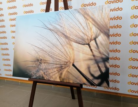 ΕΙΚΌΝΑ ΜΙΑΣ ΠΙΚΡΑΛΊΔΑΣ ΣΕ ΈΝΑ ΧΩΡΆΦΙ ΤΗΝ ΑΝΑΤΟΛΉ ΤΟΥ ΗΛΊΟΥ - ΠΊΝΑΚΕΣ ΑΠΌ ΛΟΥΛΟΎΔΙΑ - ΠΊΝΑΚΕΣ