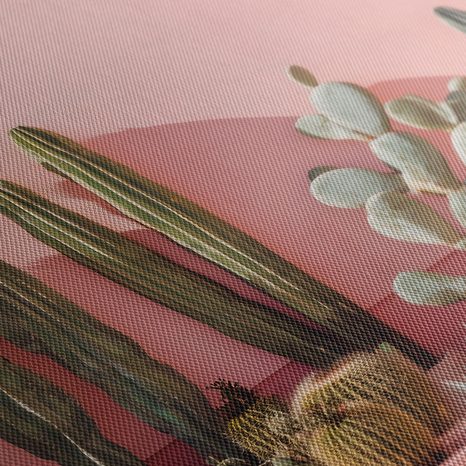 OBRAZ KAKTUSY NA RŮŽOVÉ ZDI - BOTANICKÉ OBRAZY - OBRAZY