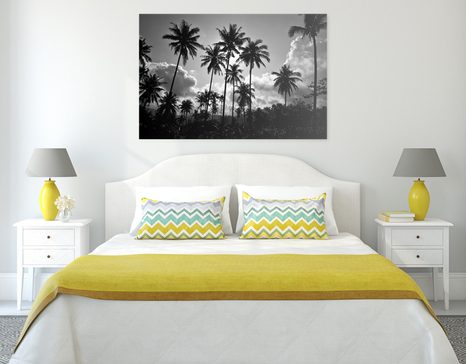 OBRAZ PALMY KOKOSOWE NA PLAŻY W WERSJI CZARNO-BIAŁEJ - OBRAZY CZARNO-BIAŁE - OBRAZY