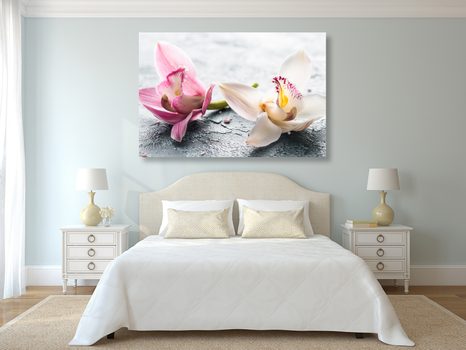 OBRAZ DWUKOLOROWE KWIATY ORCHIDEI - OBRAZY KWIATÓW - OBRAZY