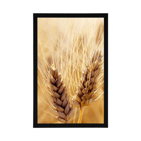 POSTER WHEAT FIELD - NATURE - POSTERS